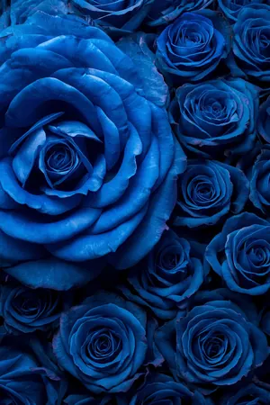 Blue Roses funeral program template